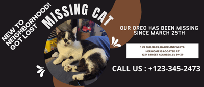 Tips for Finding Your Lost Cat in a New Neighborhood