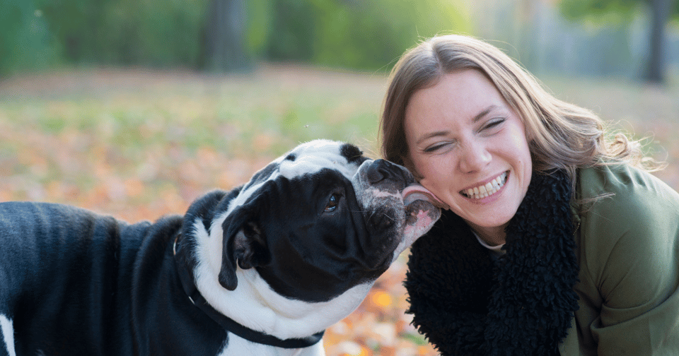 Choosing the right puppy for ESA (2)