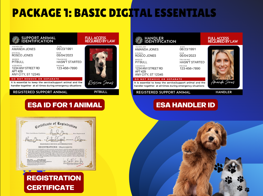 Package 1: Basic Digital Essentials for $49.99 USD