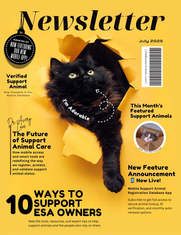 Newsletter
