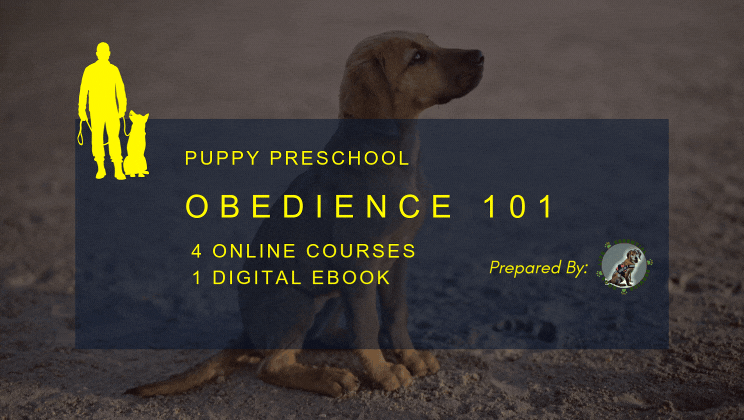 101 training